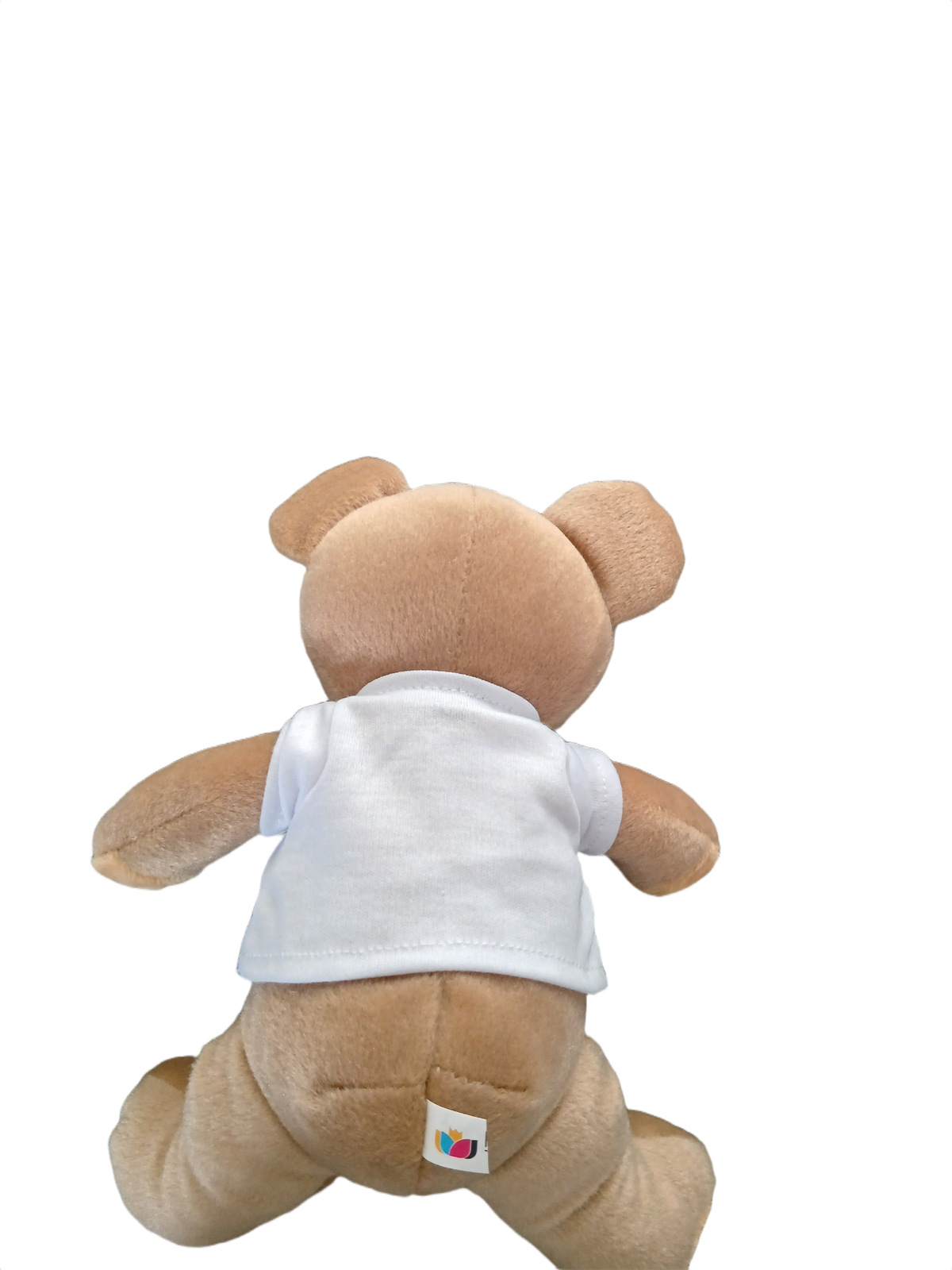 Psalm 91 Teddy Bear